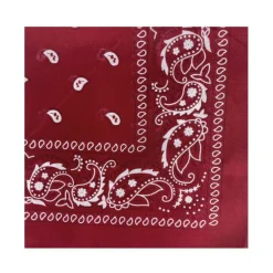 BELLA BALLOU Filuca Scarf Wine
