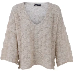 BLACK COLOUR Bcharris V-neck Jumper Champagne