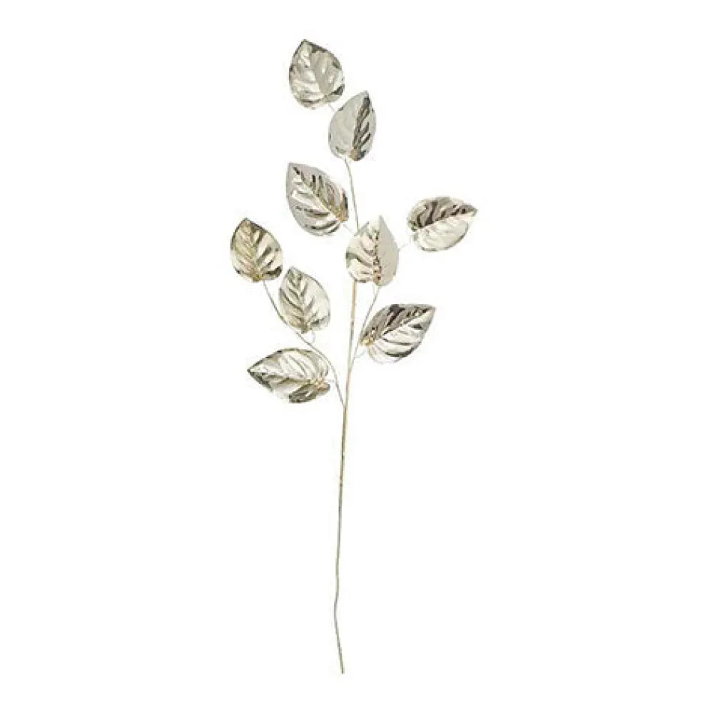 BUNGALOW Branch Champagne