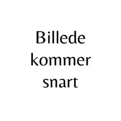 CO' COUTURE Caryn Shirt Off White