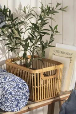 IB LAURSEN 9895-00 Olivenbusk i Potte