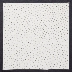 LOLLYS LAUNDRY Dot Scarf Black