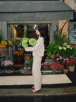 MOS MOSH Bai Flair Pant Chocolate Chip