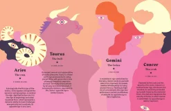 NEW MAGS Book Cancer