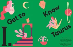 NEW MAGS Book Taurus