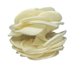 PICO COPENHAGEN Giant Satin Rose Claw Sort