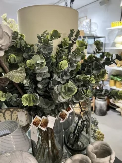 SPEEDTSBERG 183495 Eucalyptus