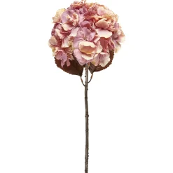 SPEEDTSBERG 235060 Hortensia