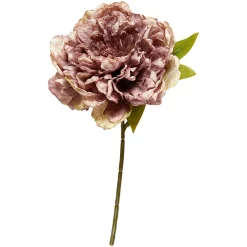 SPEEDTSBERG 235065 Pæon