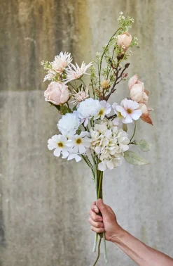 SPEEDTSBERG 235036 Ranunkel