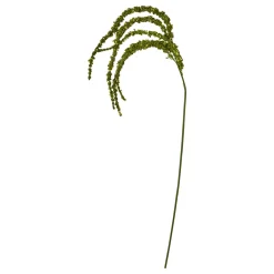 SPEEDTSBERG 235081 Rævehale Green