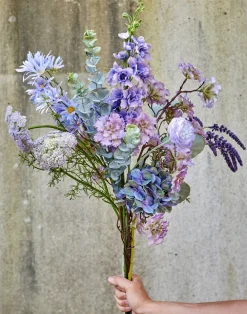 SPEEDTSBERG 234907 Vild Gulerod