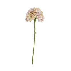 SPEEDTSBERG Hortensia Stilk 215069 Rose
