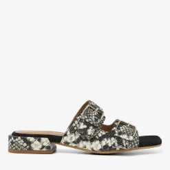 VIA VAI Pitone Roccia Giga Lena